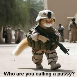Stupid Bar Memes b768ed5264df6c3d