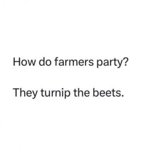 Stupid Bar Memes bb93e6b14d48eaea