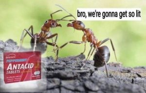 Stupid Bar Memes bte1kIf