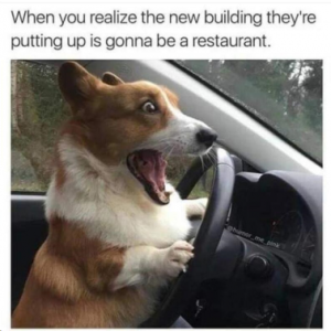 Stupid Bar Memes c0ef1d75feab85d5