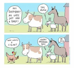 Stupid Bar Memes c46226200d72e902