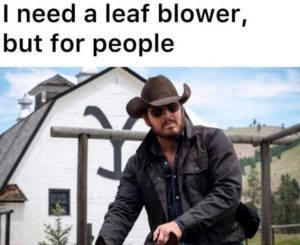 Stupid Bar Memes c4729cf220b4a35d