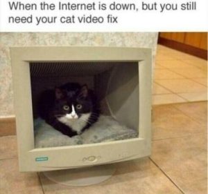 Stupid Bar Memes c4aa9f86a923cdb2