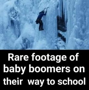 Stupid Bar Memes c8d8c7d6f441a9d6