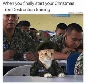 Stupid Bar Memes ce5545d601dcb40e