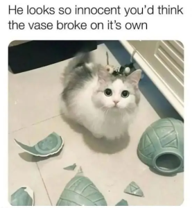 Stupid Bar Memes d0b037bas4d4cs4f3esa5e7s4f97d0d692c3s1