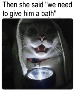Stupid Bar Memes d1125a6d9272a33d