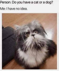 Stupid Bar Memes d3b5da6a1fcef7a6