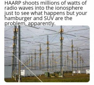 Stupid Bar Memes d54dc0c8a8e6b228