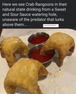 Stupid Bar Memes d7e6800cbf090c2d