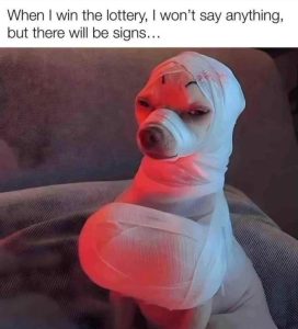 Stupid Bar Memes dO9Quac