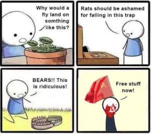 Stupid Bar Memes e2def527ee0dcb5b