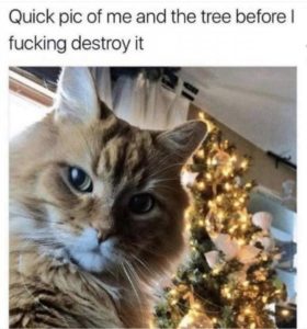 Stupid Bar Memes e401fdbf2893e768