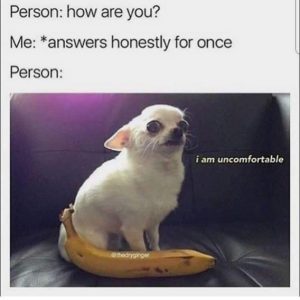 Stupid Bar Memes e49c72d938fd8569