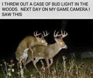 Stupid Bar Memes e57c1d5732c717a6