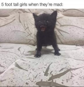 Stupid Bar Memes e9b78c852641fdb0