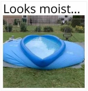 Stupid Bar Memes e9c7332747ad505f