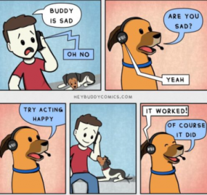 Stupid Bar Memes e9fed01471fa959c