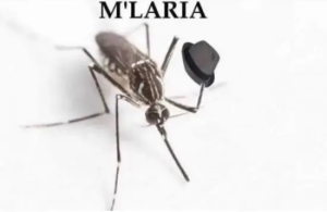 Stupid Bar Memes eJoengU