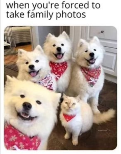 Stupid Bar Memes ef4cccf380d1ac79