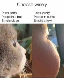 Stupid Bar Memes f5d9a82a7acfba71