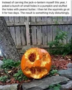 Stupid Bar Memes f5dd95d693d86ea4