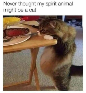 Stupid Bar Memes f62227ec3b4e0265