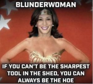Stupid Bar Memes f89b016e3c1d2beb