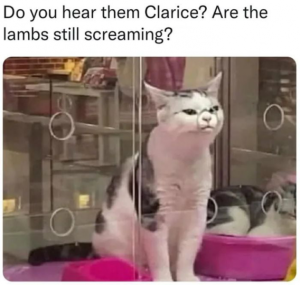 Stupid Bar Memes fa77ae093461c2b2