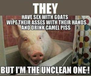 Stupid Bar Memes fd647bbd55a0459e