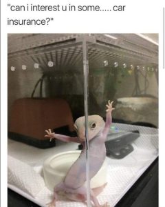 Stupid Bar Memes flFgRHX
