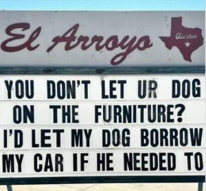 Stupid Bar Memes funny picdump 640 15
