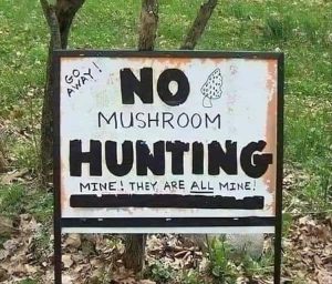 Stupid Bar Memes funnyssignss2