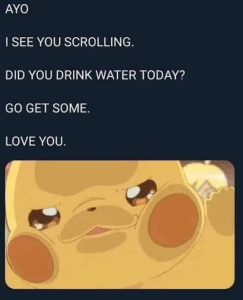 Stupid Bar Memes imgur 401349498 256864287394389 1173642835789270011 n