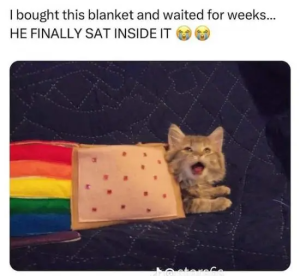 Stupid Bar Memes jmkfbCE