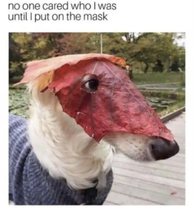 Stupid Bar Memes kkmOamJ