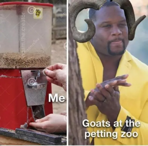 Stupid Bar Memes qmvUa7N