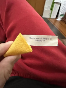 Stupid Bar Memes r7s33osqhkzb1