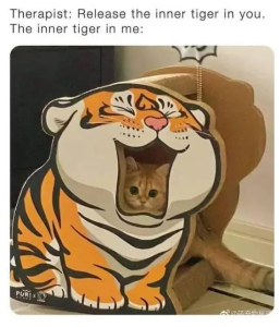Stupid Bar Memes rdkWyUj