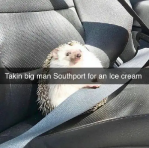 Stupid Bar Memes sspicss4488s640s36