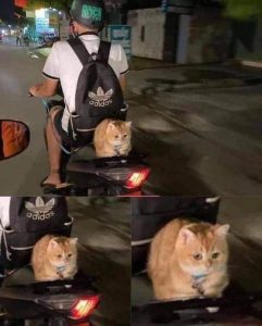 Stupid Bar Memes sspicss4493s640shighs03