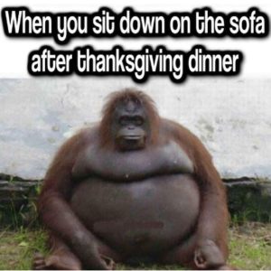 Stupid Bar Memes tgr37