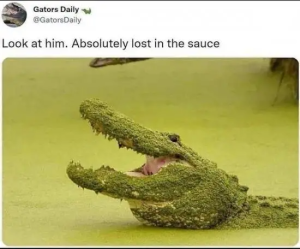Stupid Bar Memes xExZJEP