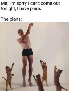 Stupid Bar Memes ynptIzj