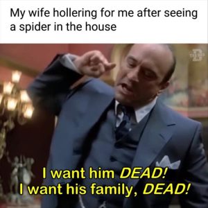 Stupid Bar Memes youresspiders