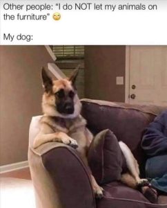 Stupid Bar Memes zsfuns109s3