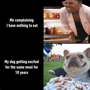 Stupid Bar Memes zsfuns91s3
