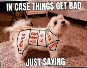 Stupid Bar Memes 091c4b021400584f