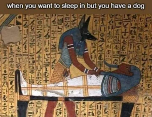 Stupid Bar Memes 09f59edde1483ce1