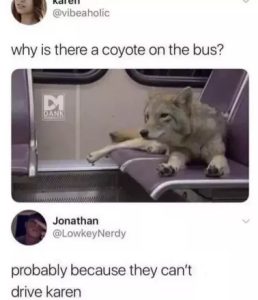 Stupid Bar Memes 0c74743b6fff9520